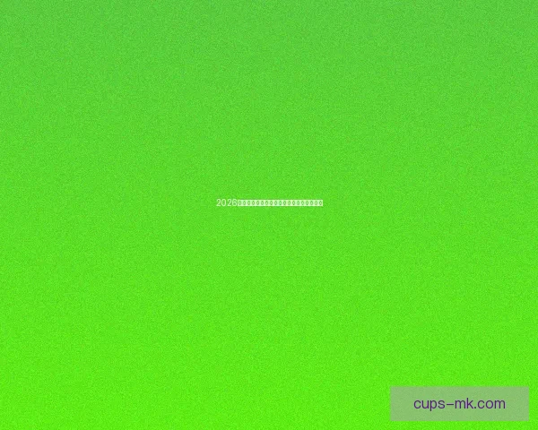 2026世界杯精彩赛事线上直播全攻略及观看指南